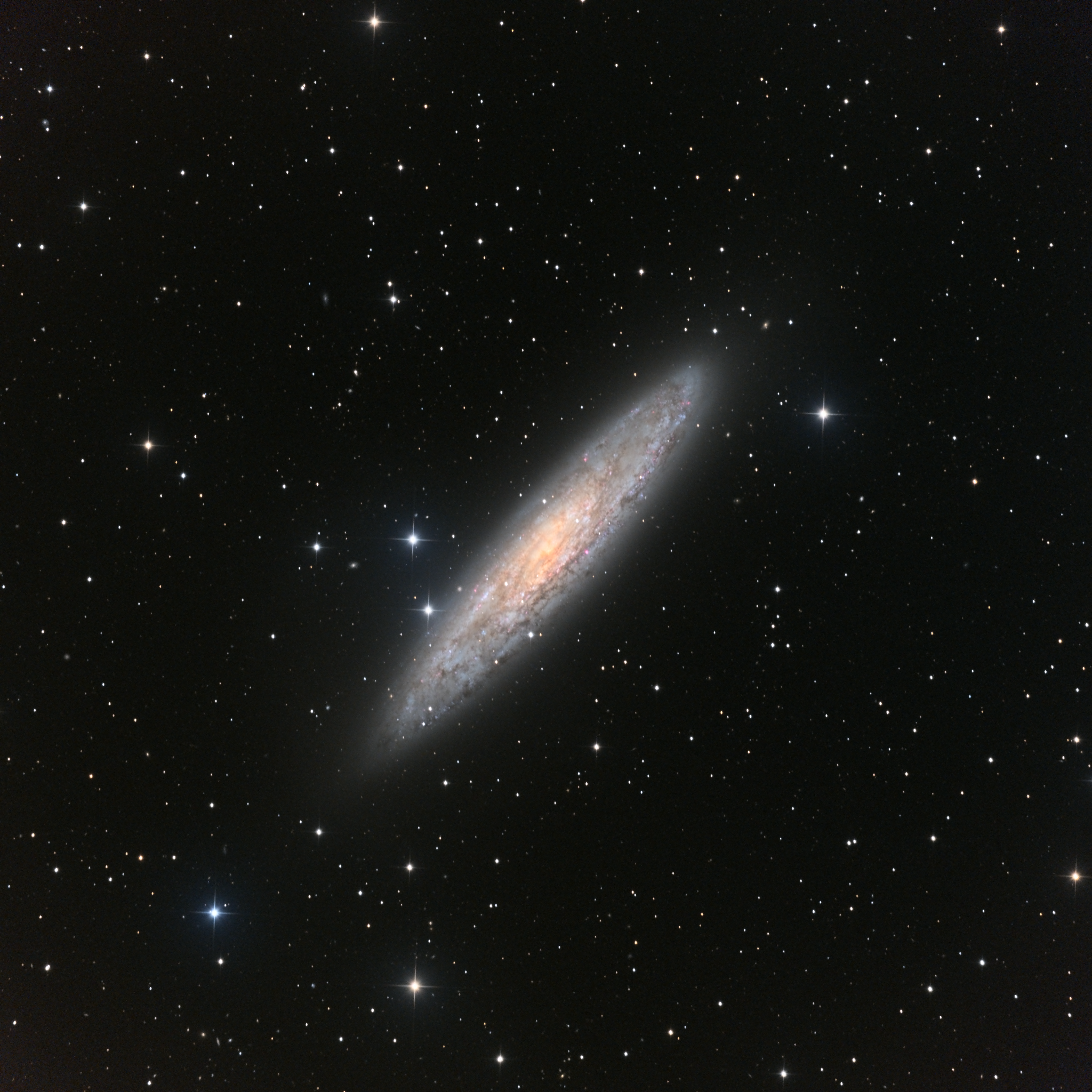 NGC 253